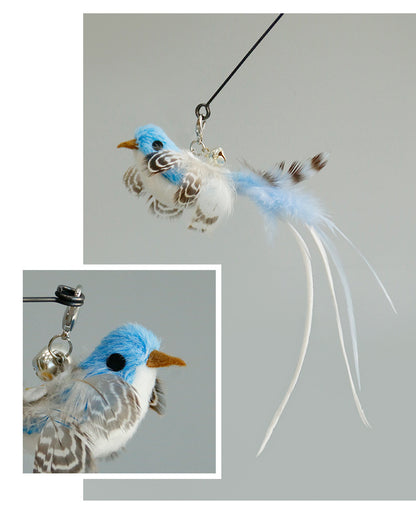 Your Cat’s New Lucky Charm Is Here 🍀