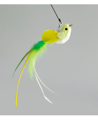 Your Cat’s New Lucky Charm Is Here 🍀