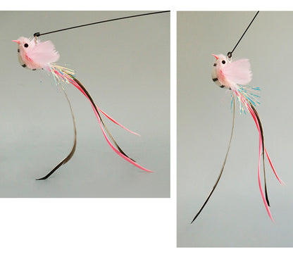 Your Cat’s New Lucky Charm Is Here 🍀